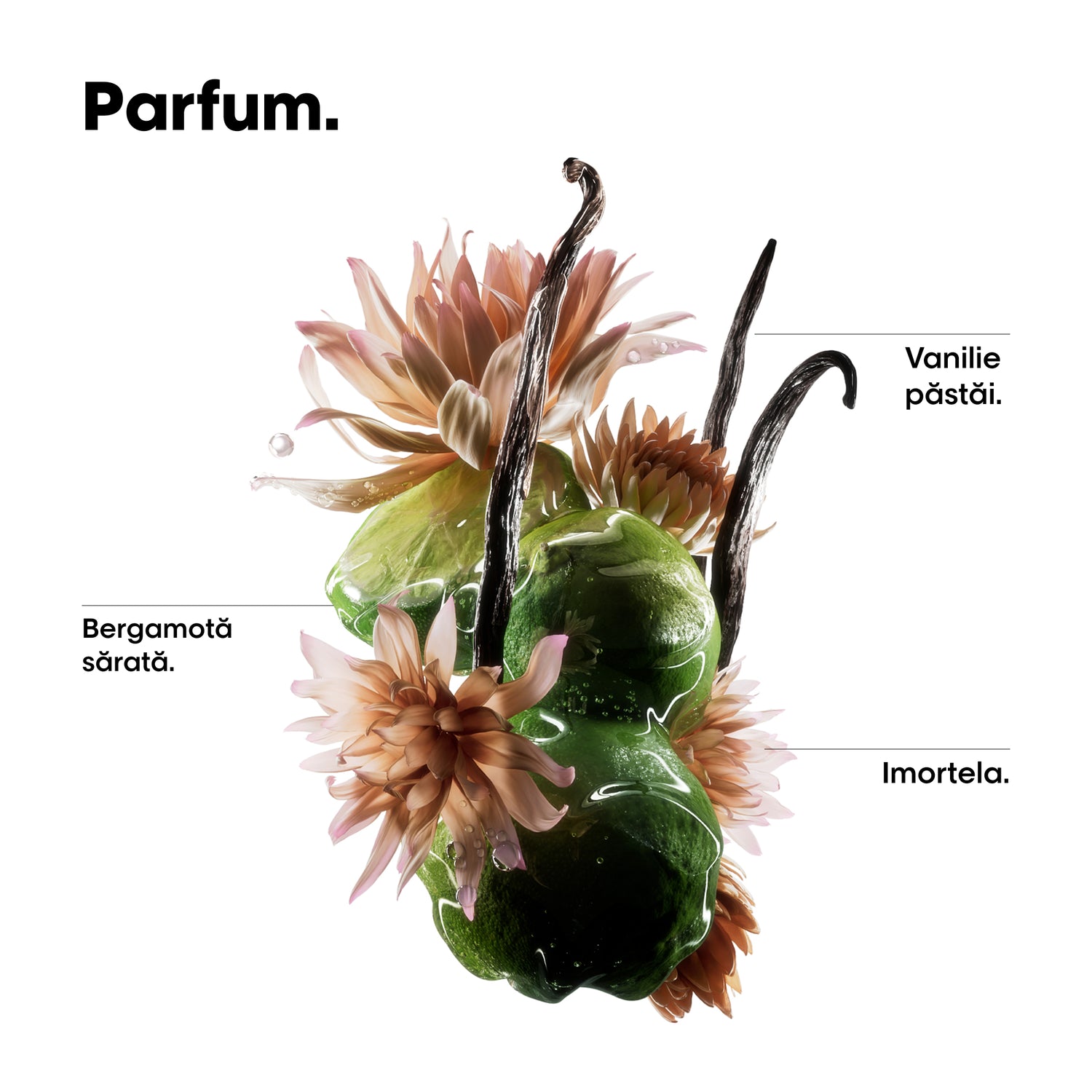 Ulei bifazic de păr L’Oréal Professionnel Absolut Repair Molecular – Anti-Frizz, Hranire Intensă & 100h Strălucire