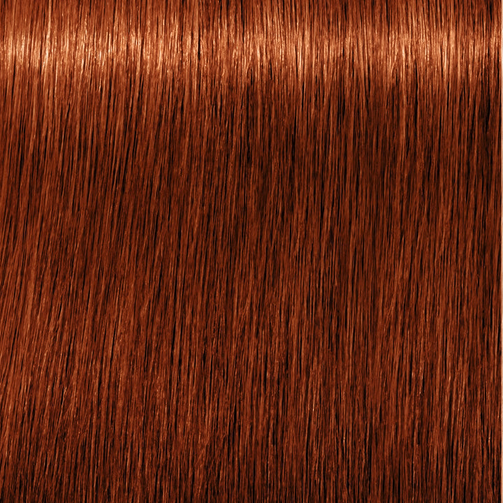 Schwarzkopf Professional Igora Royal Vopsea de păr permanentă 60 ml