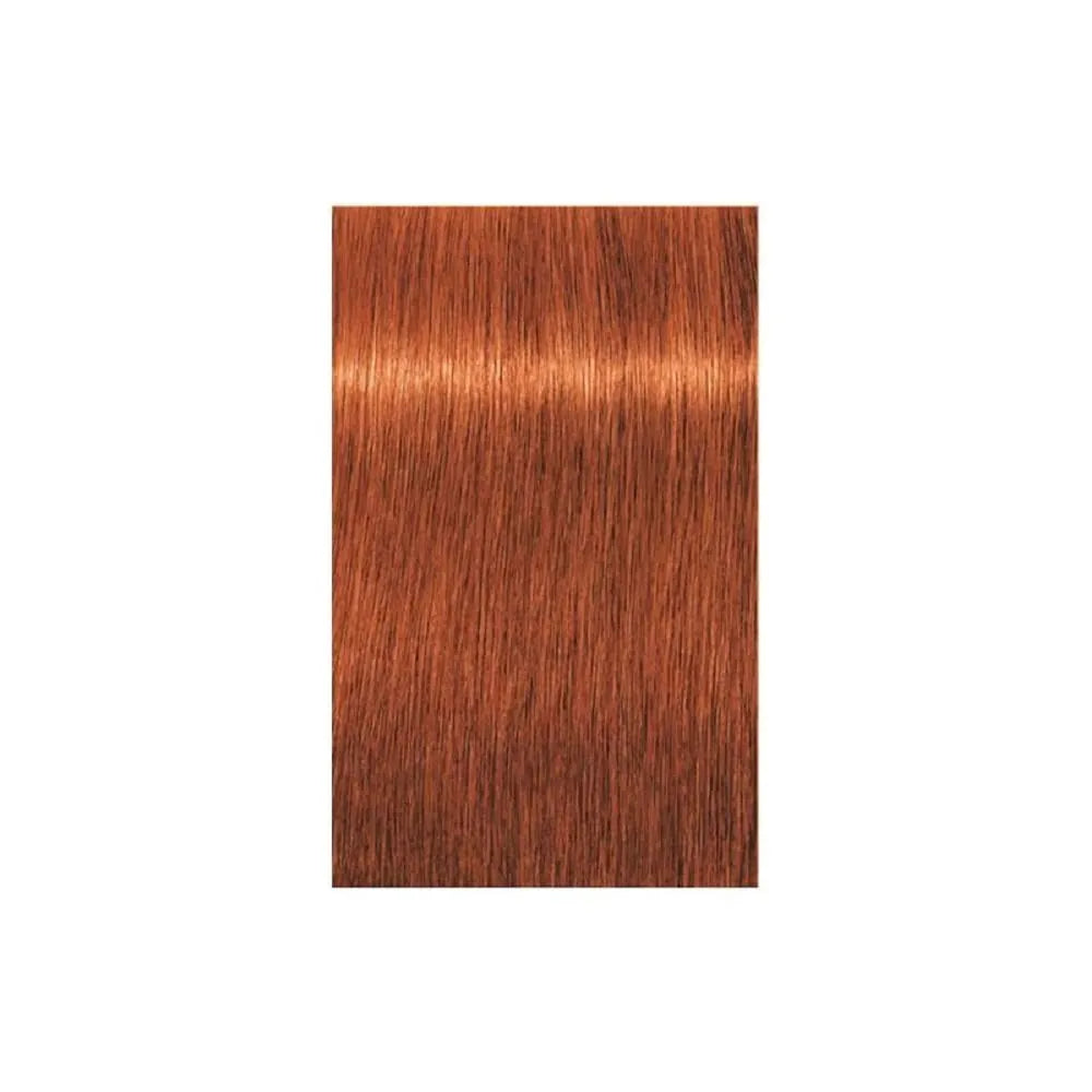 Schwarzkopf Professional Igora Royal Permanent Hair Color 60ml Intense and Long-Lasting Color