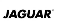Logo-ul cuvântului Black Jaguar în tipografie bold sans-serif.