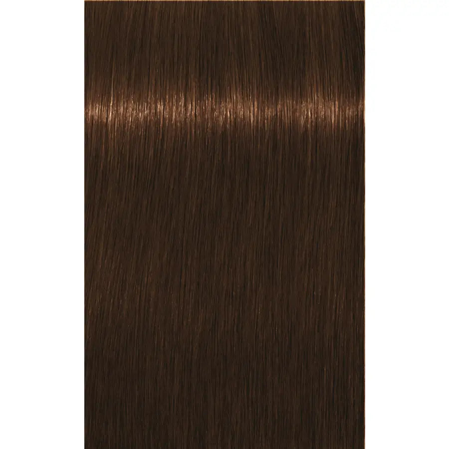 Vopsea De Păr Permanenentă Pentru Fire Albe Schwarzkopf Professional Igora Royal Absolutes 60ml - 7.460 Blond Mediu