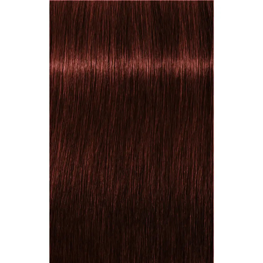 Vopsea De Păr Permanenentă Pentru Fire Albe Schwarzkopf Professional Igora Royal Absolutes 60ml - 5.80 Castaniu