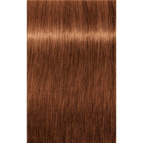 Vopsea De Păr Permanentă Schwarzkopf Professional Igora Royal 60ml - 7.76 Blond Mediu Aramiu Ciocolatiu