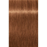 Schwarzkopf Professional Igora Zero Amm Vopsea fără amoniac 60 ml
