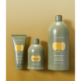 Șampon Iluminator Pentru Părul Rebel Și Indisciplinat AlterEgo CureEgo Silk Oil 950ml