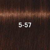 Schwarzkopf Professional Igora Royal Permanent Hair Color 60ml Intense and Long-Lasting Color