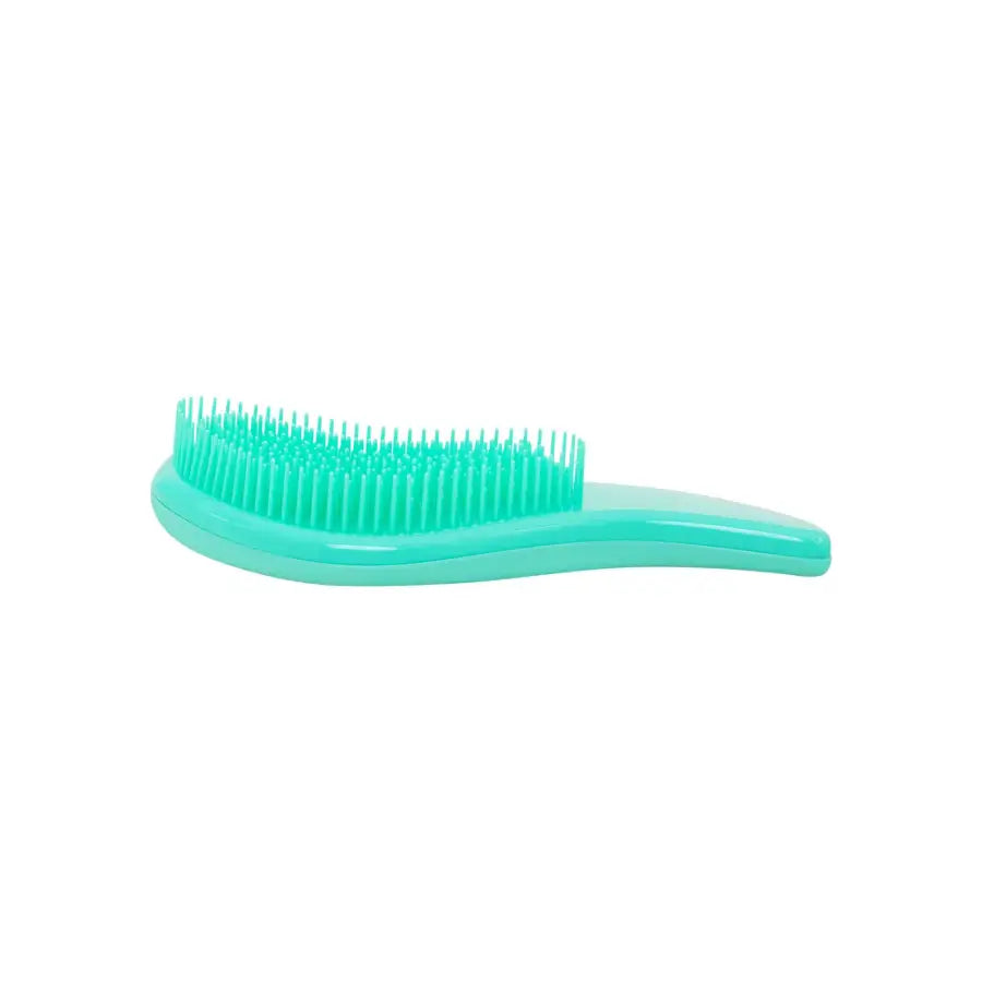 ETB Hair Perie de descâlcire turcoaz