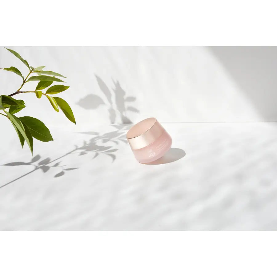 IREN Shizen FLOWERS IN BLOOM – Japanese Face Cream with Antioxidants and BIYUSEN™ Thermal Water - Explosive Hydration, Natural Radiance, and Advanced Urban Protection