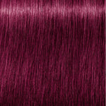 Schwarzkopf Professional Igora Royal Vopsea de păr permanentă 60 ml