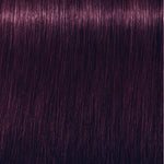 Schwarzkopf Professional Igora Royal Vopsea de păr permanentă 60 ml