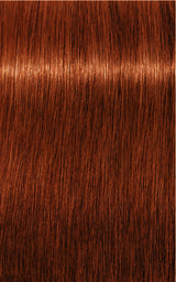 Schwarzkopf Professional Igora Royal Permanent Hair Color 60ml Intense and Long-Lasting Color