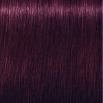 Schwarzkopf Professional Igora Royal Vopsea de păr permanentă 60 ml