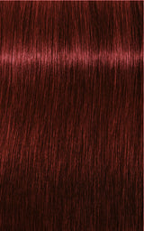 Schwarzkopf Professional Igora Royal Permanent Hair Color 60ml Intense and Long-Lasting Color