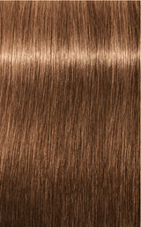 Schwarzkopf Professional Igora Royal Permanent Hair Color 60ml Intense and Long-Lasting Color