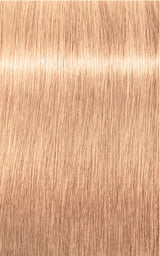 Schwarzkopf Professional Igora Royal Permanent Hair Color 60ml Intense and Long-Lasting Color