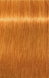 Schwarzkopf Professional Igora Royal Permanent Hair Color 60ml Intense and Long-Lasting Color