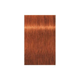 Schwarzkopf Professional Igora Royal Permanent Hair Color 60ml Intense and Long-Lasting Color