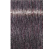 Schwarzkopf Professional Igora Royal Permanent Hair Color 60ml Intense and Long-Lasting Color
