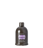 AlterEgo ChromEgo Silver Șampon anti-galben