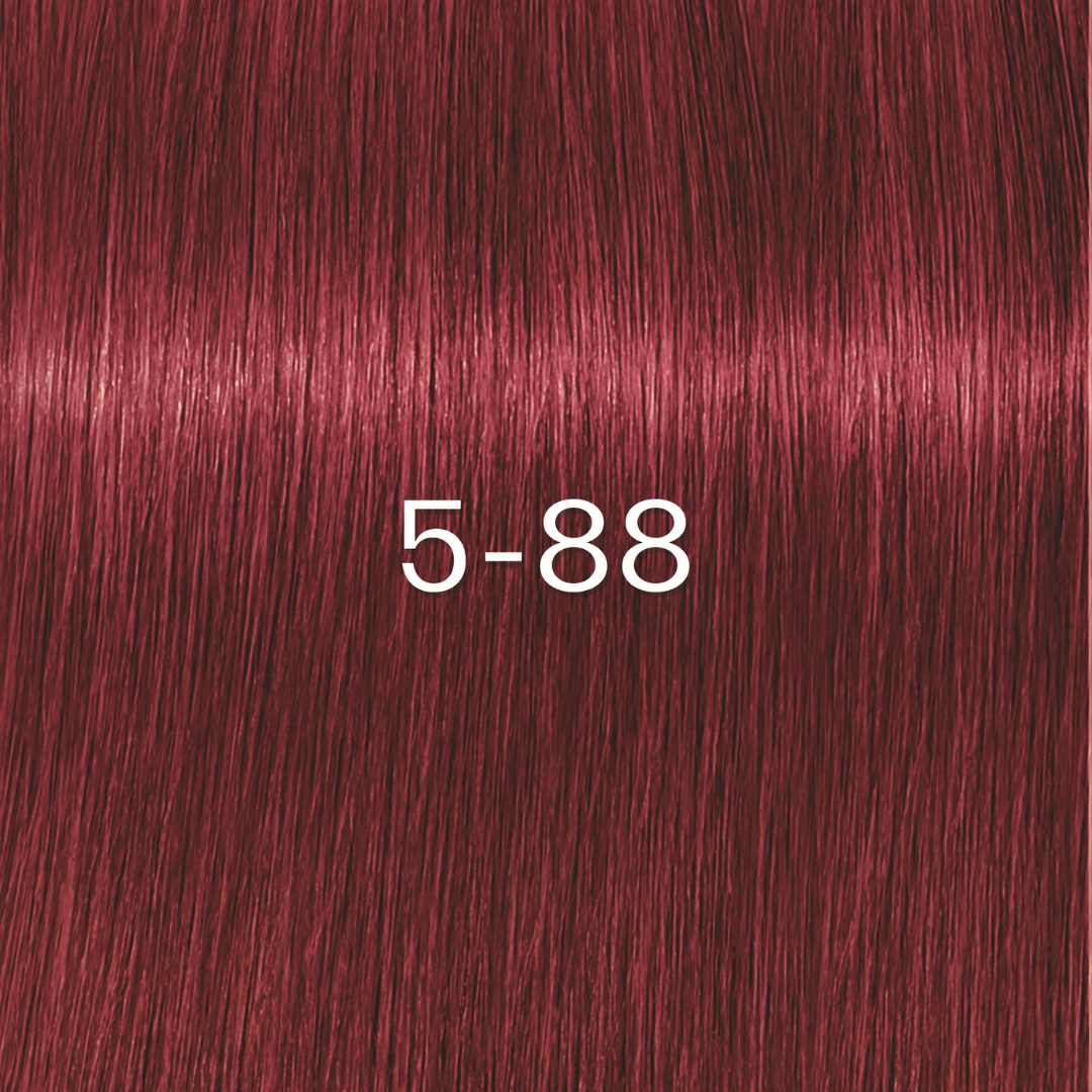 Schwarzkopf Professional Igora Zero Amm Vopsea fără amoniac 60 ml