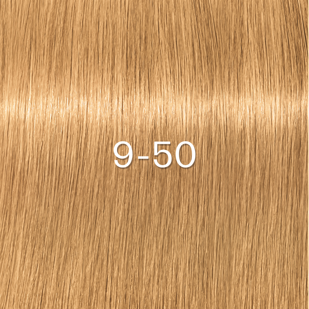 Schwarzkopf Professional Igora Zero Amm Vopsea fără amoniac 60 ml