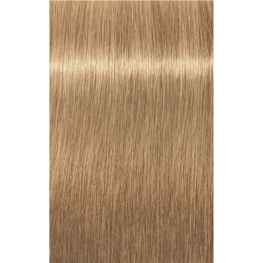 Indola Blonde Expert Highlifts Vopsea de deschidere seria veche 60 ml
