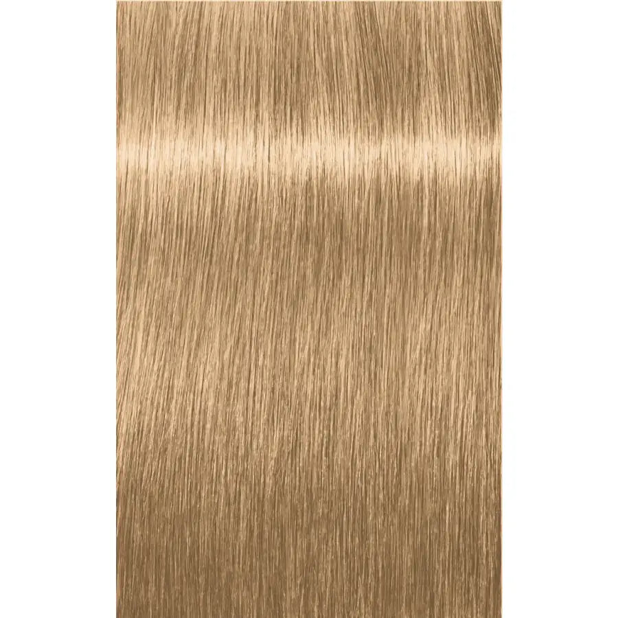 Indola Blonde Expert Highlifts Vopsea de deschidere seria veche 60 ml