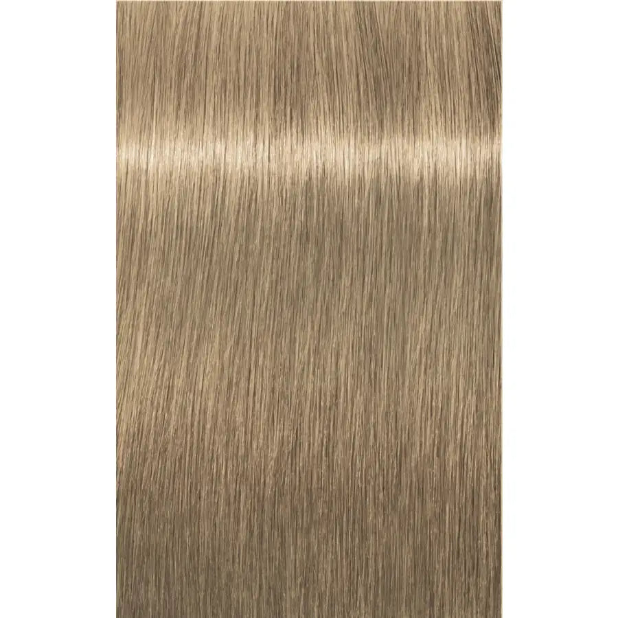 Indola Blonde Expert Highlifts 60ml - 60 ml / 1000.11 Blond Special Extra Deschis Cenușiu Intens - Păr