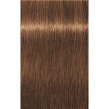 INDOLA PCC VOPSEA DE PĂR CU AMONIAC 60ML - 60 ml / 6.3 Blond Închis Auriu - Păr