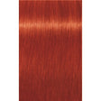 INDOLA PCC VOPSEA DE PĂR CU AMONIAC 60ML - 60 ml / 8.44X Blond Deschis Cupru Intens Extra - Păr