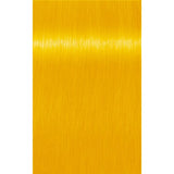 Indola Pigment Semi-Permanent Crea-Bold 100ml - 100 ml / Canary Yellow - Păr