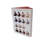 Nook Flow Catalog de nuanțe