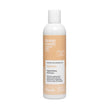 Șampon Organic Pentru Regenerarea Părului Uscat Și Deteriorat Nook Beauty Family Ageless Regenerating Shampoo 250ml