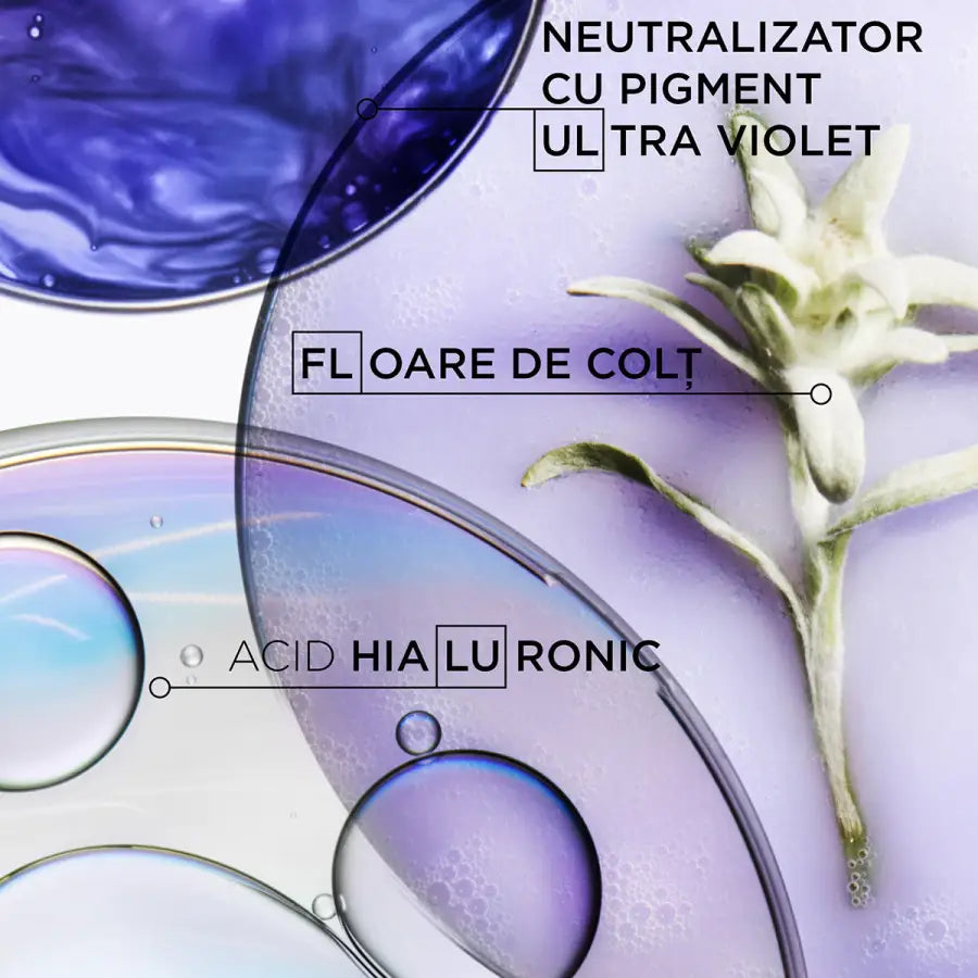 Kérastase Blond Absolu Set Fondant Holiday șampon balsam și ser