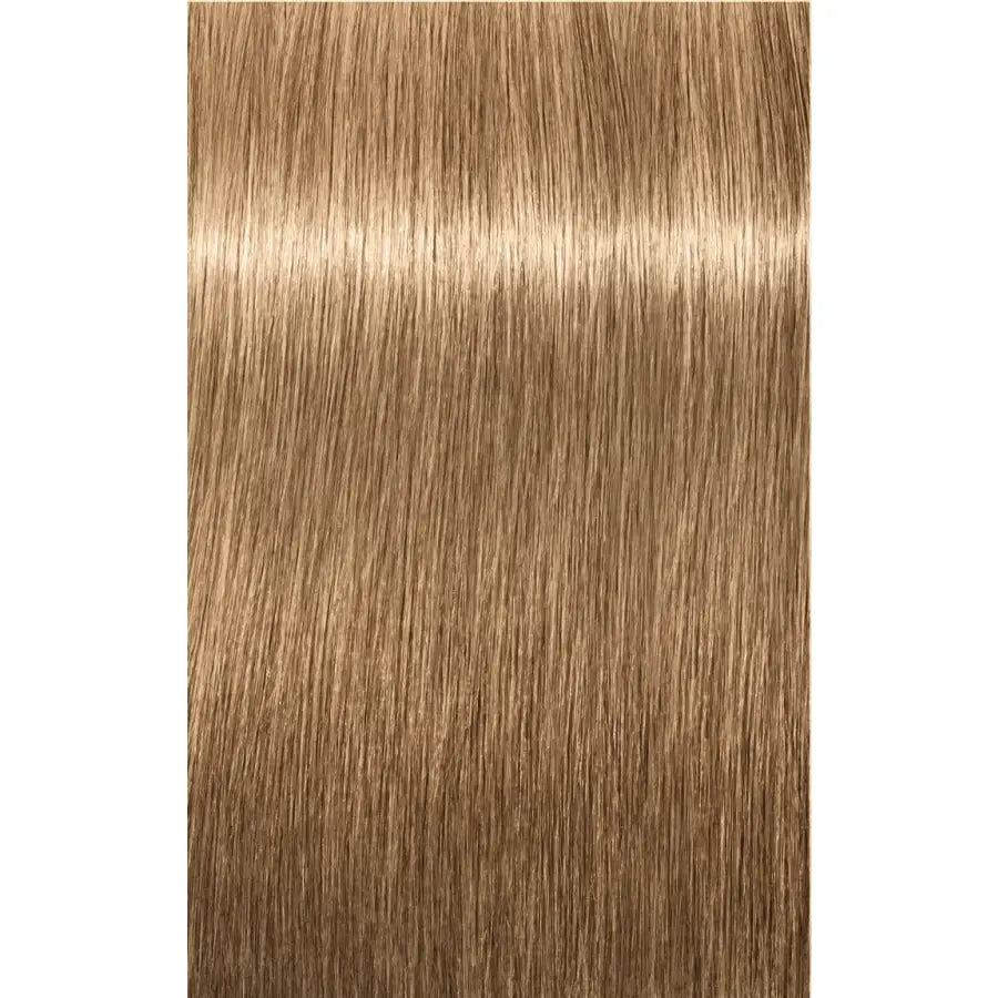 Schwarzkopf Professional Igora Royal Absolutes Vopsea permanentă 60 ml