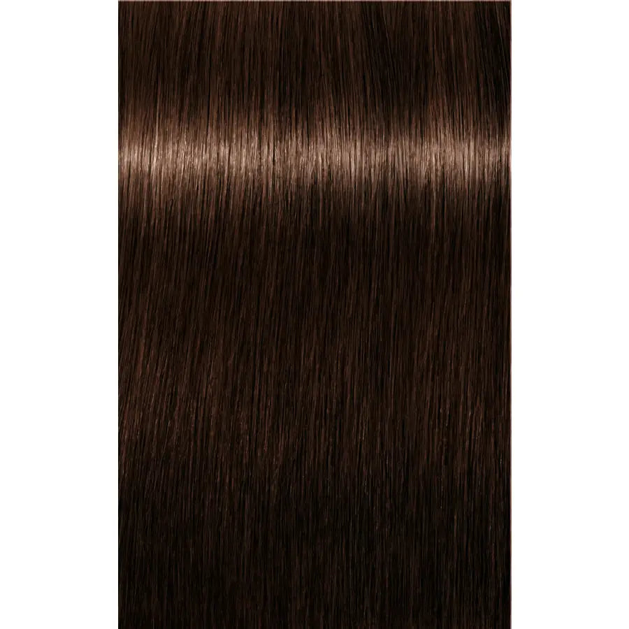 Schwarzkopf Professional Igora Royal Absolutes Vopsea permanentă 60 ml