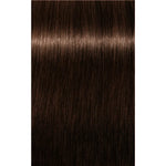 Schwarzkopf Professional Igora Royal Absolutes Vopsea permanentă 60 ml
