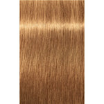 Schwarzkopf Professional Igora Royal Absolutes Vopsea permanentă 60 ml