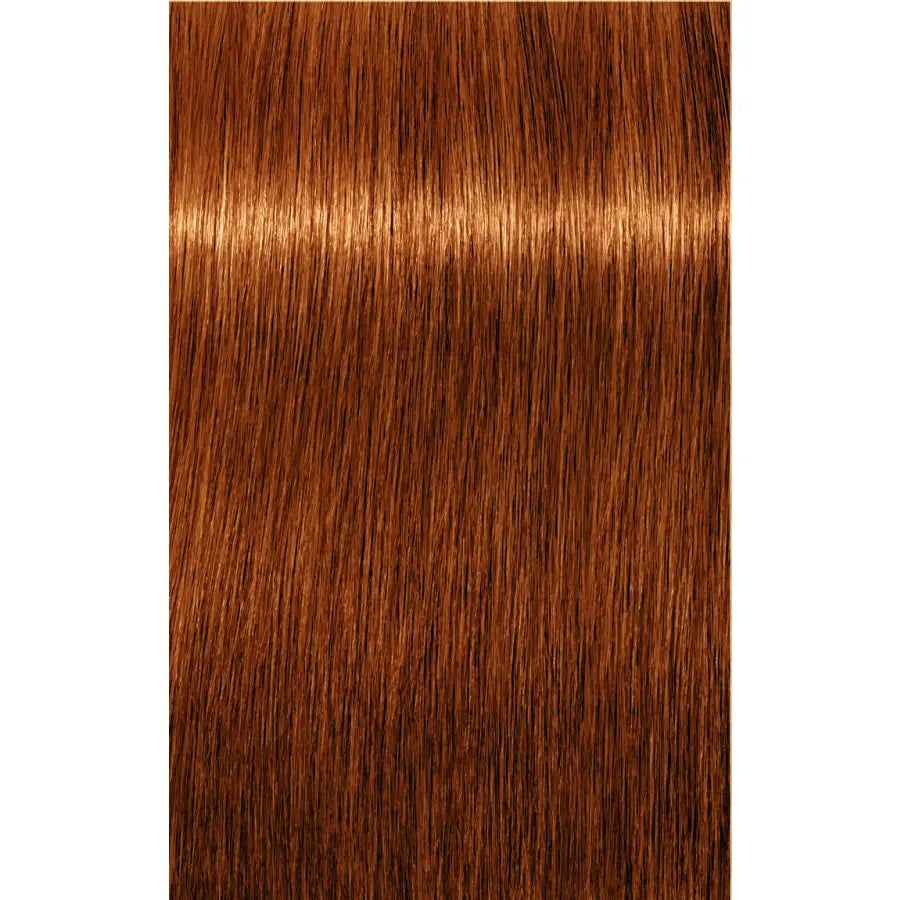 Schwarzkopf Professional Igora Royal Absolutes Vopsea permanentă 60 ml