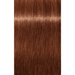 Schwarzkopf Professional Igora Royal Absolutes Vopsea permanentă 60 ml