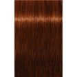 Vopsea De Păr Permanenentă Pentru Fire Albe Schwarzkopf Professional Igora Royal Absolutes 60ml - 6.70 Blond Închis