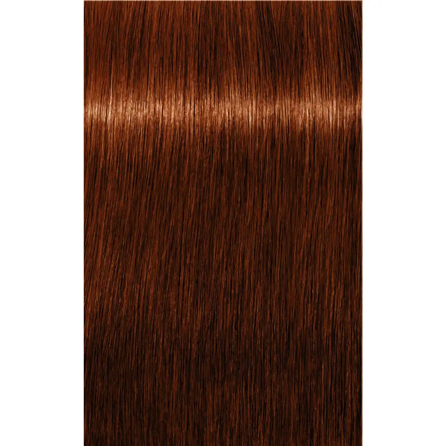 Schwarzkopf Professional Igora Royal Absolutes Vopsea permanentă 60 ml