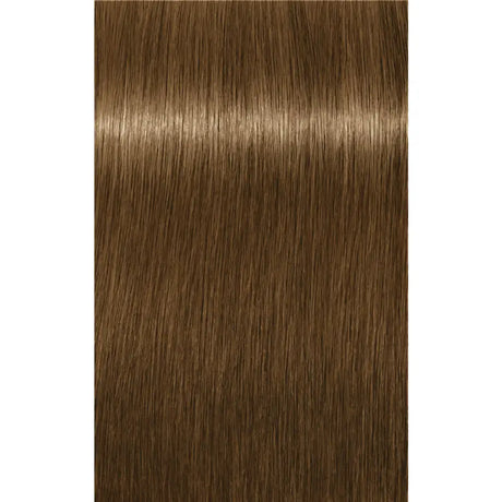 Vopsea De Păr Permanenentă Pentru Fire Albe Schwarzkopf Professional Igora Royal Absolutes 60ml - 8.140 Blond Deschis