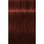 Schwarzkopf Professional Igora Royal Absolutes Vopsea permanentă 60 ml