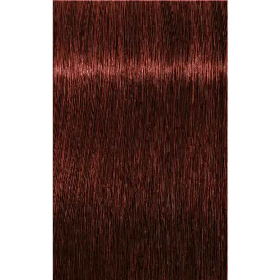Schwarzkopf Professional Igora Royal Absolutes Vopsea permanentă 60 ml