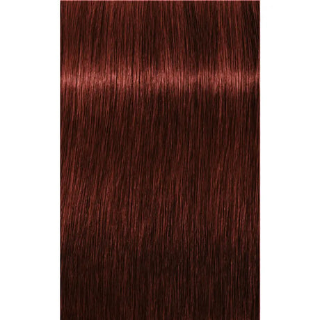 Vopsea De Păr Permanenentă Pentru Fire Albe Schwarzkopf Professional Igora Royal Absolutes 60ml - 6.80 Blond Închis