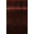 Vopsea De Păr Permanenentă Pentru Fire Albe Schwarzkopf Professional Igora Royal Absolutes 60ml - 5.80 Castaniu