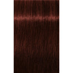 Schwarzkopf Professional Igora Royal Absolutes Vopsea permanentă 60 ml