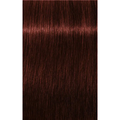 Vopsea De Păr Permanenentă Pentru Fire Albe Schwarzkopf Professional Igora Royal Absolutes 60ml - 5.80 Castaniu
