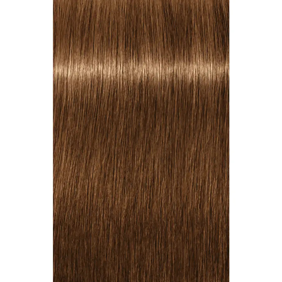 Schwarzkopf Professional Igora Royal Absolutes Vopsea permanentă 60 ml